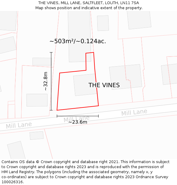 THE VINES, MILL LANE, SALTFLEET, LOUTH, LN11 7SA: Plot and title map