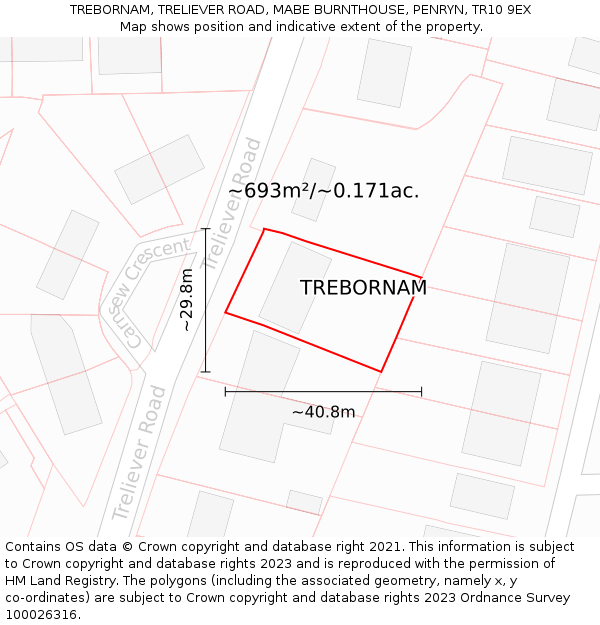 TREBORNAM, TRELIEVER ROAD, MABE BURNTHOUSE, PENRYN, TR10 9EX: Plot and title map