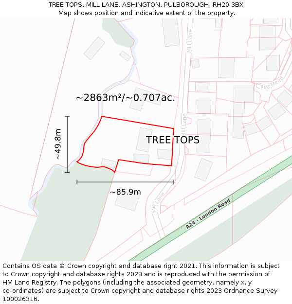 TREE TOPS, MILL LANE, ASHINGTON, PULBOROUGH, RH20 3BX: Plot and title map