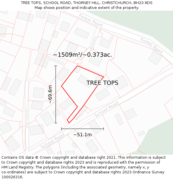 TREE TOPS, SCHOOL ROAD, THORNEY HILL, CHRISTCHURCH, BH23 8DS: Plot and title map