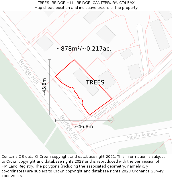 TREES, BRIDGE HILL, BRIDGE, CANTERBURY, CT4 5AX: Plot and title map