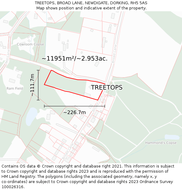 TREETOPS, BROAD LANE, NEWDIGATE, DORKING, RH5 5AS: Plot and title map