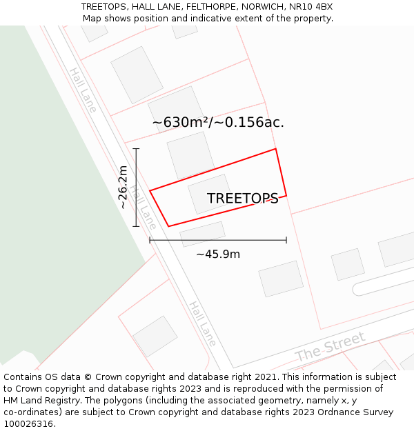 TREETOPS, HALL LANE, FELTHORPE, NORWICH, NR10 4BX: Plot and title map