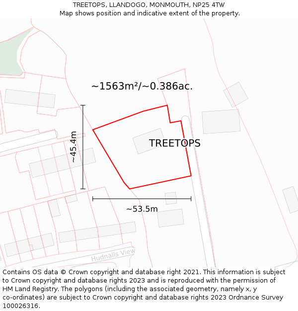 TREETOPS, LLANDOGO, MONMOUTH, NP25 4TW: Plot and title map