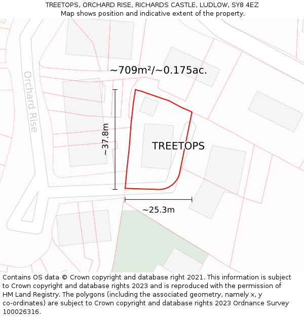 TREETOPS, ORCHARD RISE, RICHARDS CASTLE, LUDLOW, SY8 4EZ: Plot and title map