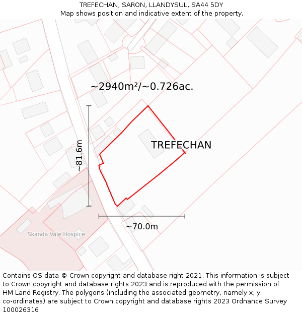TREFECHAN, SARON, LLANDYSUL, SA44 5DY: Plot and title map