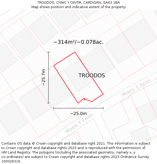 TROODOS, CNWC Y DINTIR, CARDIGAN, SA43 1BA: Plot and title map