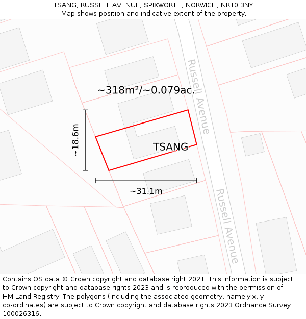 TSANG, RUSSELL AVENUE, SPIXWORTH, NORWICH, NR10 3NY: Plot and title map