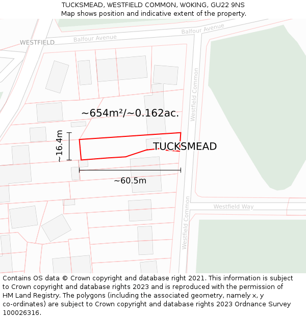 TUCKSMEAD, WESTFIELD COMMON, WOKING, GU22 9NS: Plot and title map