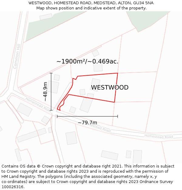 WESTWOOD, HOMESTEAD ROAD, MEDSTEAD, ALTON, GU34 5NA: Plot and title map