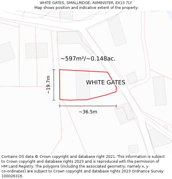 WHITE GATES, SMALLRIDGE, AXMINSTER, EX13 7LY: Plot and title map