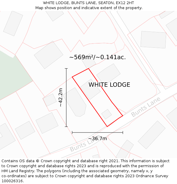 WHITE LODGE, BUNTS LANE, SEATON, EX12 2HT: Plot and title map