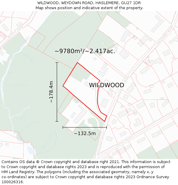 WILDWOOD, WEYDOWN ROAD, HASLEMERE, GU27 1DR: Plot and title map