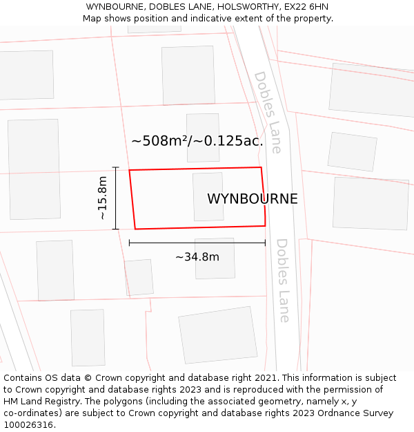 WYNBOURNE, DOBLES LANE, HOLSWORTHY, EX22 6HN: Plot and title map