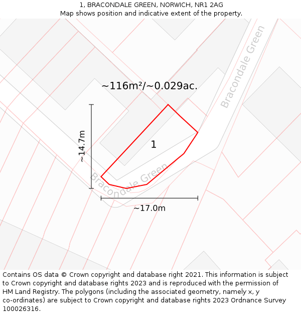 1, BRACONDALE GREEN, NORWICH, NR1 2AG: Plot and title map