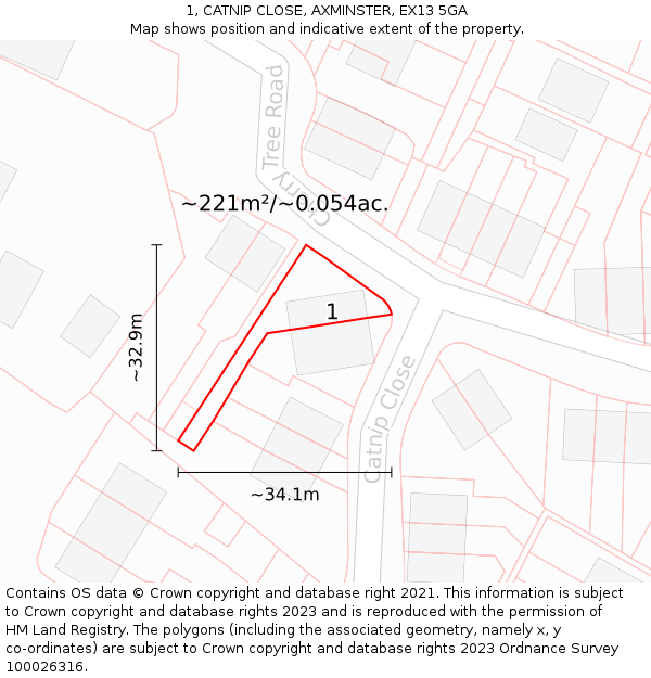 1, CATNIP CLOSE, AXMINSTER, EX13 5GA: Plot and title map