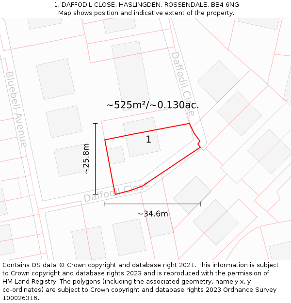 1, DAFFODIL CLOSE, HASLINGDEN, ROSSENDALE, BB4 6NG: Plot and title map