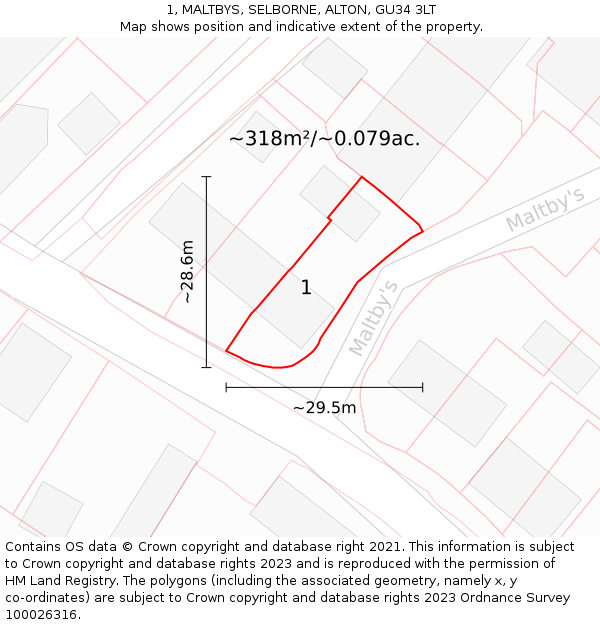 1, MALTBYS, SELBORNE, ALTON, GU34 3LT: Plot and title map