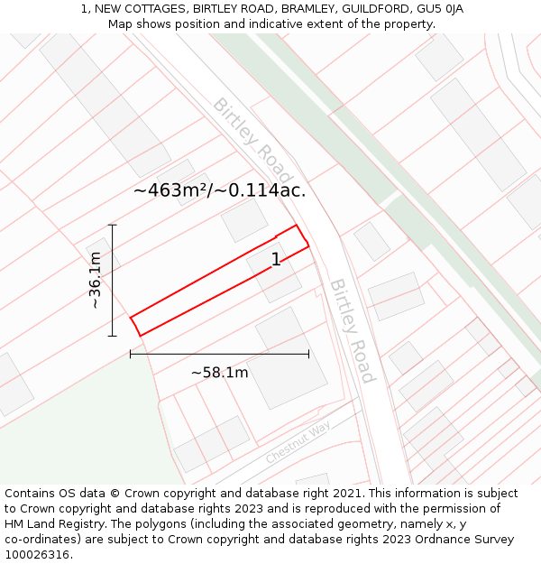 1, NEW COTTAGES, BIRTLEY ROAD, BRAMLEY, GUILDFORD, GU5 0JA: Plot and title map