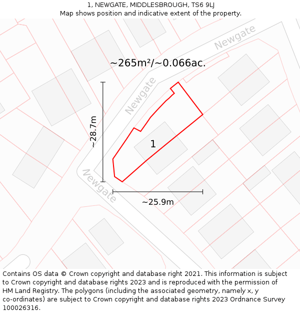 1, NEWGATE, MIDDLESBROUGH, TS6 9LJ: Plot and title map
