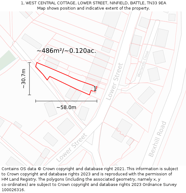 1, WEST CENTRAL COTTAGE, LOWER STREET, NINFIELD, BATTLE, TN33 9EA: Plot and title map