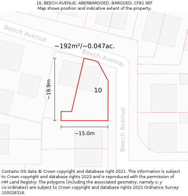 10, BEECH AVENUE, ABERBARGOED, BARGOED, CF81 9EF: Plot and title map