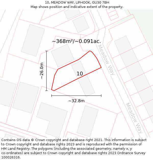 10, MEADOW WAY, LIPHOOK, GU30 7BH: Plot and title map
