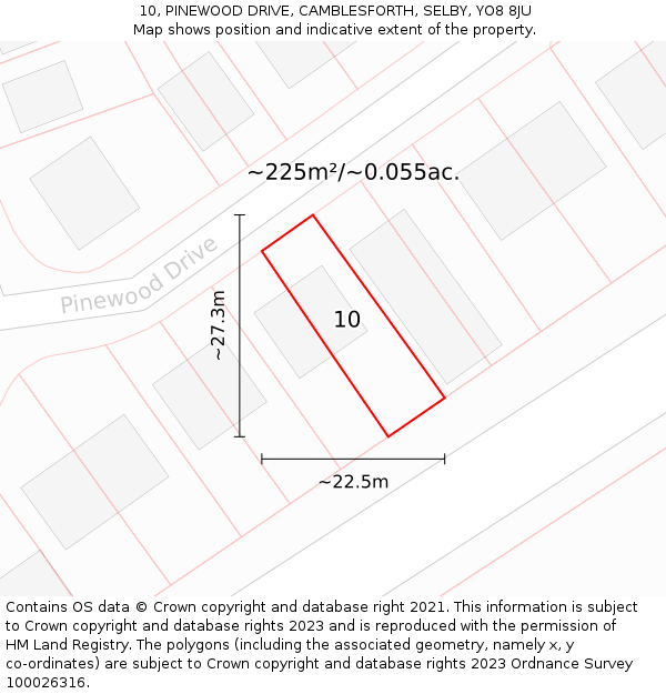 10, PINEWOOD DRIVE, CAMBLESFORTH, SELBY, YO8 8JU: Plot and title map