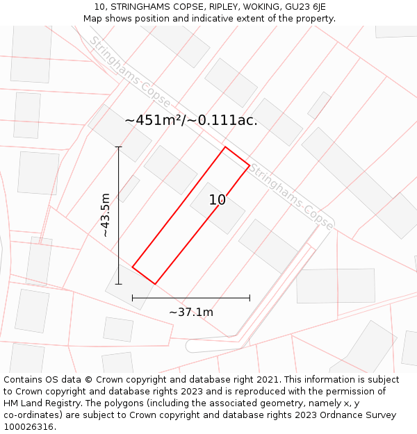 10, STRINGHAMS COPSE, RIPLEY, WOKING, GU23 6JE: Plot and title map