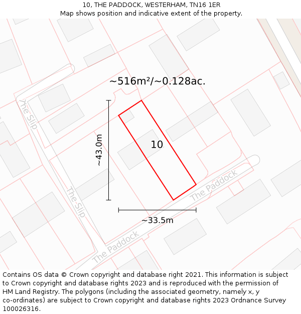 10, THE PADDOCK, WESTERHAM, TN16 1ER: Plot and title map