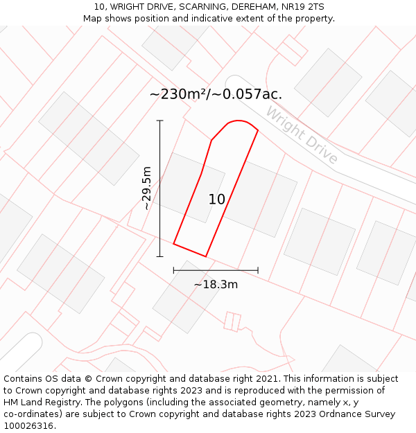 10, WRIGHT DRIVE, SCARNING, DEREHAM, NR19 2TS: Plot and title map