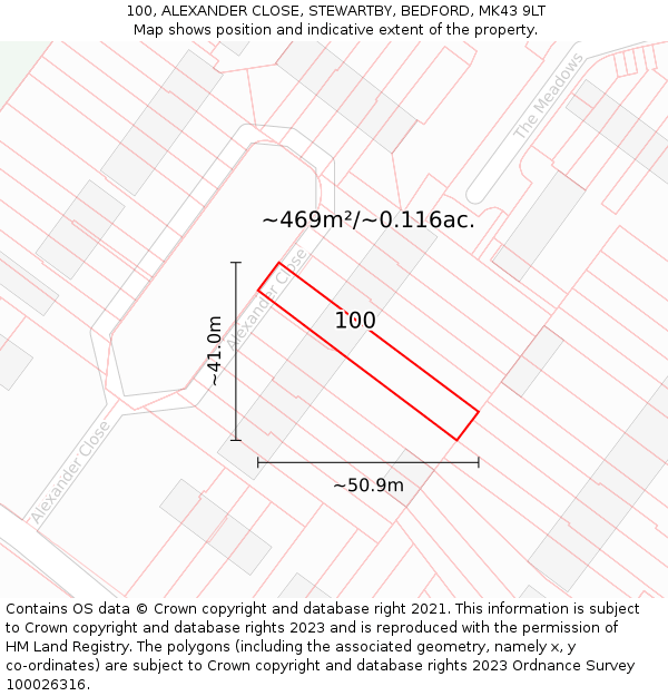 100, ALEXANDER CLOSE, STEWARTBY, BEDFORD, MK43 9LT: Plot and title map