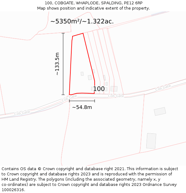 100, COBGATE, WHAPLODE, SPALDING, PE12 6RP: Plot and title map