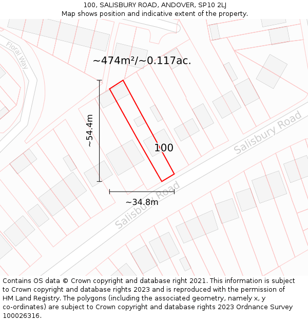100, SALISBURY ROAD, ANDOVER, SP10 2LJ: Plot and title map