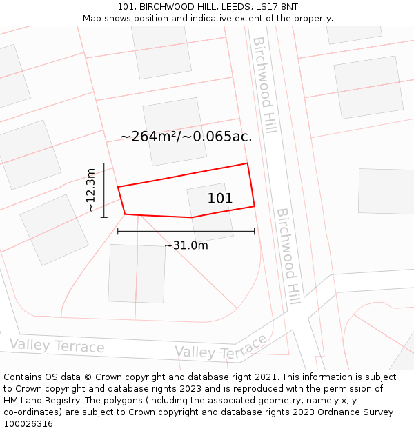 101, BIRCHWOOD HILL, LEEDS, LS17 8NT: Plot and title map