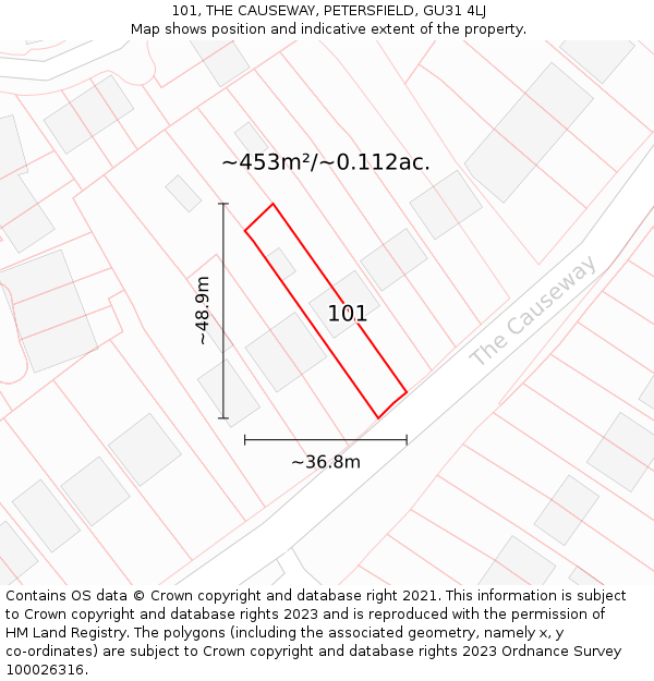 101, THE CAUSEWAY, PETERSFIELD, GU31 4LJ: Plot and title map