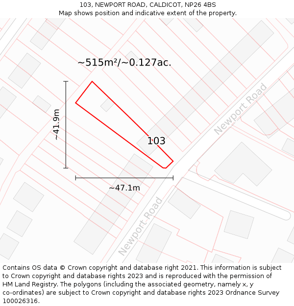 103, NEWPORT ROAD, CALDICOT, NP26 4BS: Plot and title map