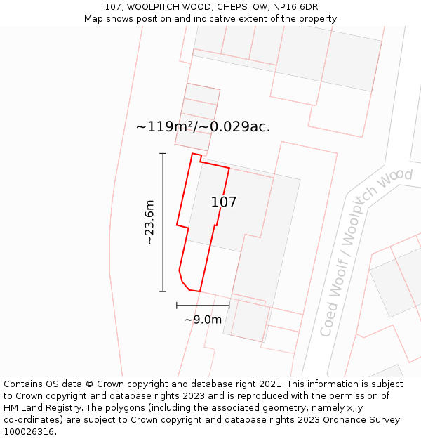 107, WOOLPITCH WOOD, CHEPSTOW, NP16 6DR: Plot and title map