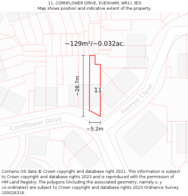 11, CORNFLOWER DRIVE, EVESHAM, WR11 3ES: Plot and title map