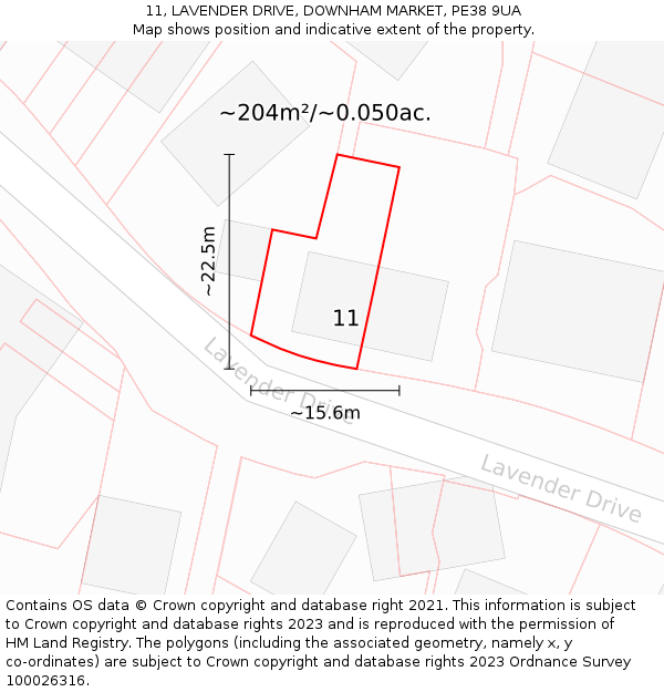 11, LAVENDER DRIVE, DOWNHAM MARKET, PE38 9UA: Plot and title map
