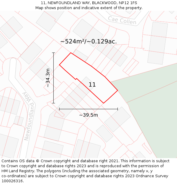 11, NEWFOUNDLAND WAY, BLACKWOOD, NP12 1FS: Plot and title map