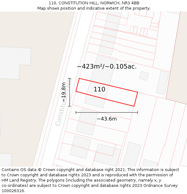 110, CONSTITUTION HILL, NORWICH, NR3 4BB: Plot and title map