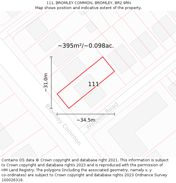 111, BROMLEY COMMON, BROMLEY, BR2 9RN: Plot and title map