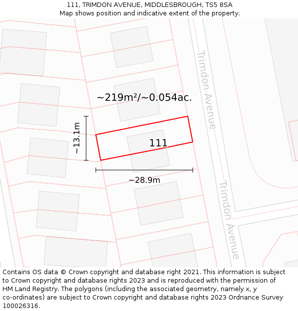 111, TRIMDON AVENUE, MIDDLESBROUGH, TS5 8SA: Plot and title map