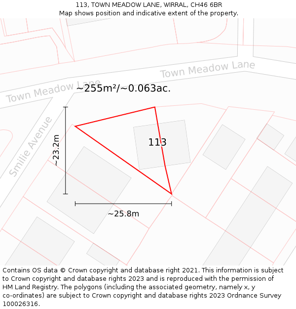 113, TOWN MEADOW LANE, WIRRAL, CH46 6BR: Plot and title map