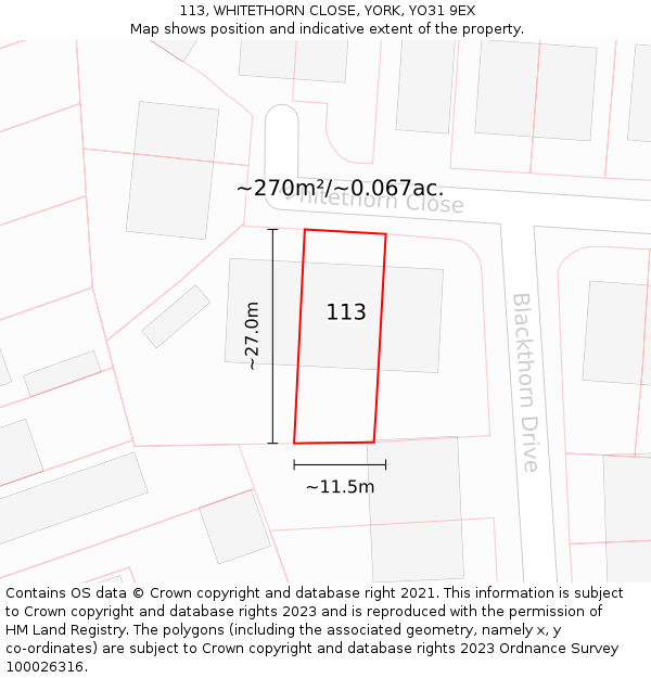 113, WHITETHORN CLOSE, YORK, YO31 9EX: Plot and title map