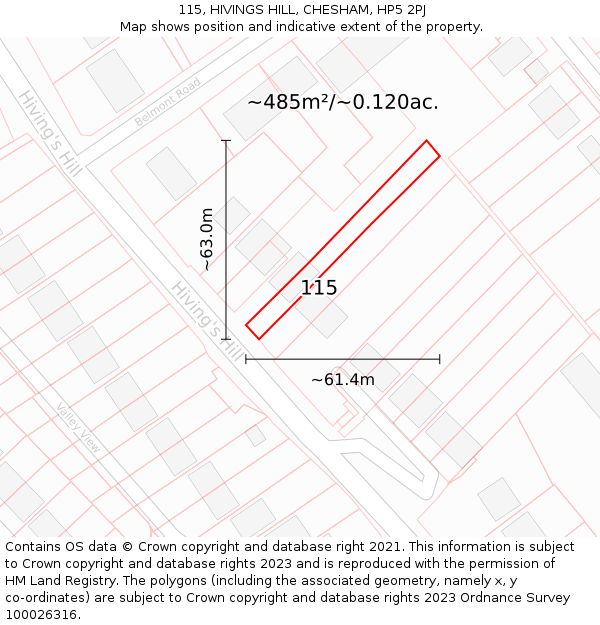 115, HIVINGS HILL, CHESHAM, HP5 2PJ: Plot and title map