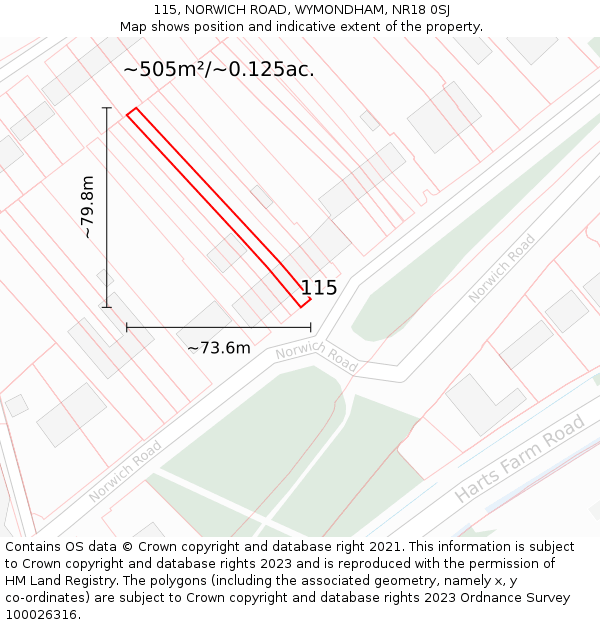 115, NORWICH ROAD, WYMONDHAM, NR18 0SJ: Plot and title map