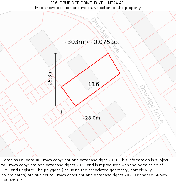 116, DRURIDGE DRIVE, BLYTH, NE24 4PH: Plot and title map