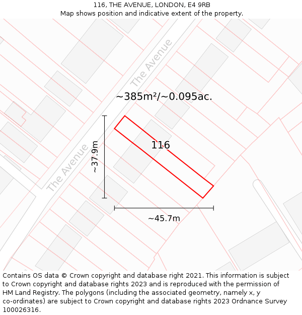 116, THE AVENUE, LONDON, E4 9RB: Plot and title map